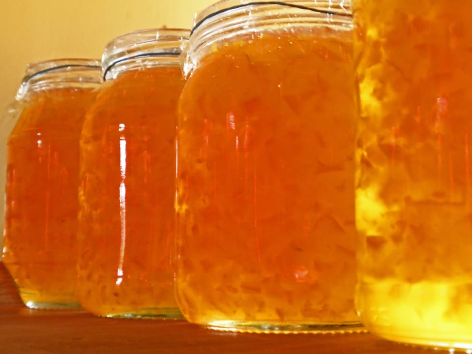 A row of bright orange jars of marmalade